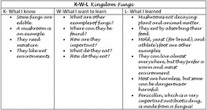 K-W-L Strategy Chart