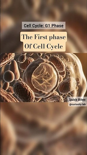 G1 Phase: The preparation phase in the Cell Cycle ? #neet2026 #cellcycle
