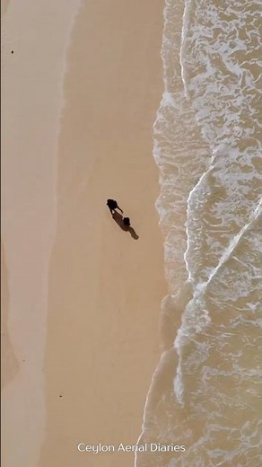 Mirissa Beach Sri Lanka 🌊 | Drone 4K #sunset #beach #love #shorts