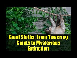 Giant Sloths: From Towering Giants to Mysterious Extinction