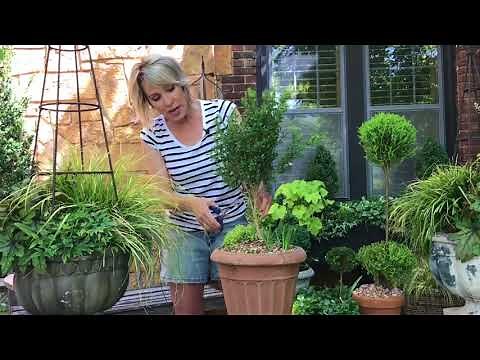 Make A Topiary