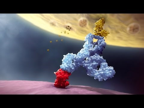 Multiple Myeloma Mechanism of Action