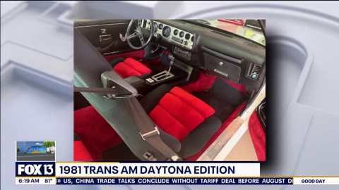 1981 Trans Am Daytona Edition