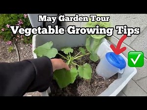 How to Grow a Vegetable Garden CHEAP Tricks& Tips, Vertical Container Gardening Raised Bed Free Soil