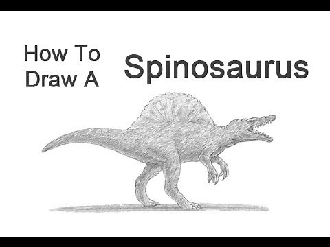 How to Draw a Spinosaurus