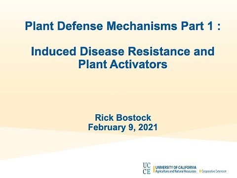Plant Defense Mechanisms Part 1: Induced Disease Resistance and Plant Activators