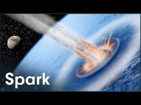 The Cretaceous–Paleogene Extinction Event: As It Happened