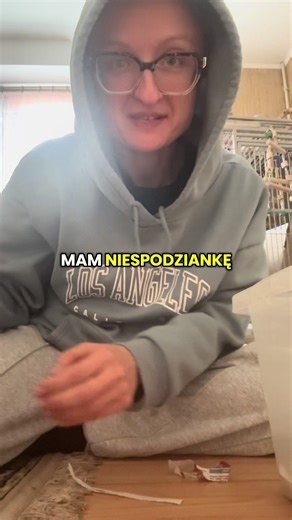 Ara Severna: Papuga Przyjazna Dla Ciebie