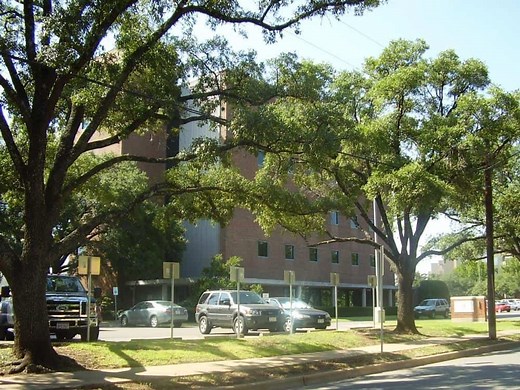 Age To Get a Texas ID (Types   Application) | Texas View