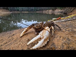 Catching MONSTER River Crayfish