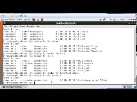 Basics of Hadoop Distributed File System (HDFS)