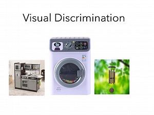 Visual Discrimination