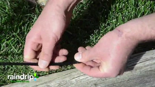 Raindrip R560DP Drip Watering System, Automatic Drip Irrigation System with Timer for Containers and Hanging Baskets, Waters up to 20 Plants, Includes 20 Drippers, Black