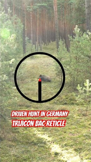 BOAR DOWN IN 6 SECONDS | FPS German Driven Hunt • Perfect Shot Placement