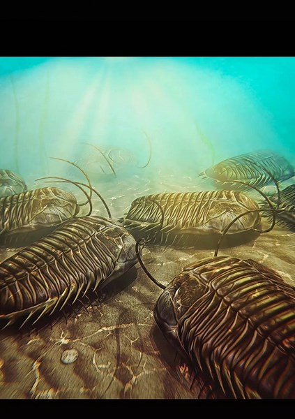 Exploring Trilobites: A Journey Through Paleo History
