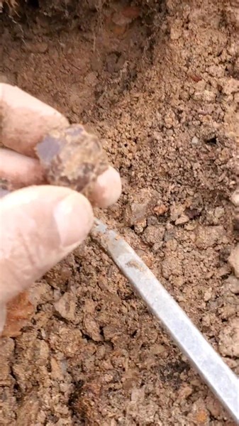 Theres nothing quite like the feeling you get when the crystals just start falling out of the pocket! | Colorado Geology