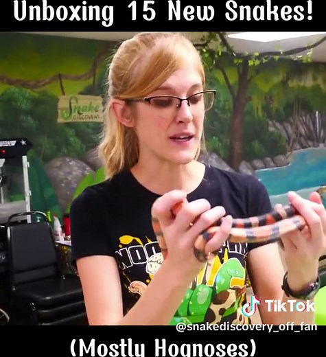 Part 10. Unboxing 15 New Snakes! (Mostly Hognoses) #snake #discovery