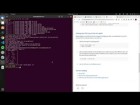 sshキーの作成 & githubとssh接続する方法