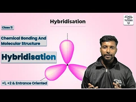 Hybridisation | Class 11 Chemistry | Chemical Bonding and Molecular Structure