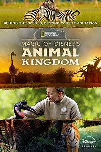 Magic of Disney's Animal Kingdom