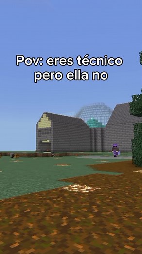 Understanding Minecraft Server Technicians | Minecraft Server Hosting