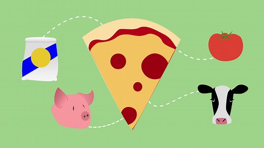 Kids Go Green: Reducing Food Waste | PBS LearningMedia