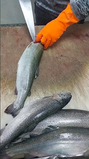 How to Clean a Trout in 4 Easy Steps | How to clean trout without bones