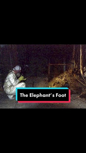 TheHappyDead on TikTok