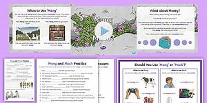 Using 'Many' or 'Much' in Sentences Activity Pack