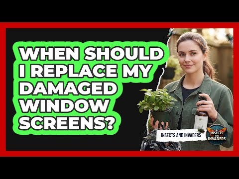 When Should I Replace My Damaged Window Screens?