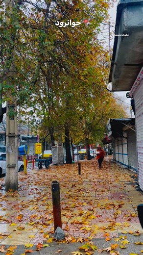 ‎🔱پیج رسمی هه‌واڵ شاهۆ🔱‎ on Instagram‎: "پاییز جوانرود 🍂 @hawalshaho #جوانرود #جوانرو #اورامانات #پاییز"‎