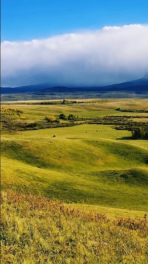 Amazing Alberta Foothills | Where the Prairies Meet the Rockies #shorts