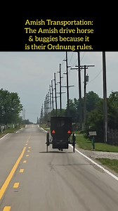 171K views · 3.5K reactions | The Amish use horse and buggies as...