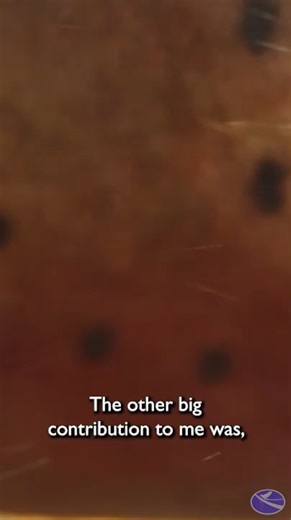 1.4K views · 26 reactions | An excerpt from a tribute to the life and...