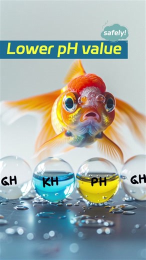 How to lower the pH value safely🥰#hygger #aquarium #fishtok #fypツ | fish
