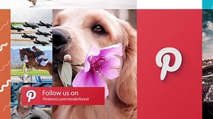 Free Video Editor | Create and Edit Videos Online | Renderforest