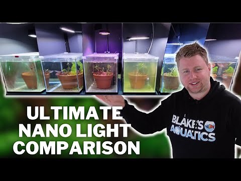 Which Nano Light Should you Buy? The Ultimate Aquarium Light Comparison