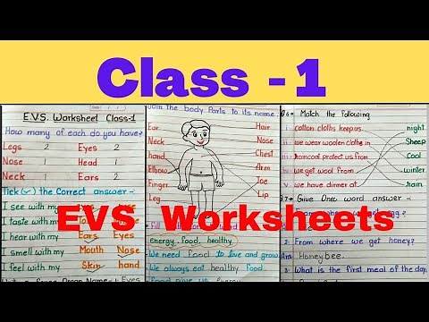 Class 1st EVS Worksheet /EVS Worksheet for class 1 /Class 1 EVS
