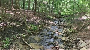 A $3.5 million project to build a 47-mile hiking and biking trail in this area near Hardy Dam Pond is moving right along, with portions of the trail already open. Organizers have been hoping to make it happen for years: https://www.woodtv.com/news/michigan/trail-along-hardy-dam-pond-aims-to-be-among-the-best/ | WOOD TV8