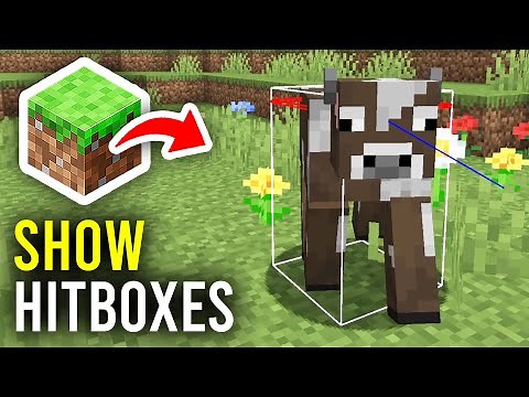 How To Show Hitbox In Minecraft - Full Guide
