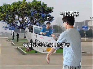 《驾校历险记》