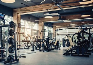 What is the BMR Calculator? Find Your Basal Metabolic Rate Now