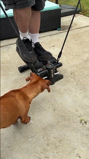 Quick Look! NORDIC LIFTING Mini Stepper Machine