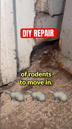 This $8 Fix Will Keep Rats Out of Your House
