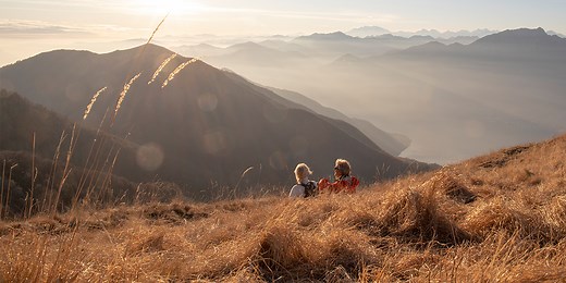 Life Insurance Options to Protect Your Financial Future | Allianz Life