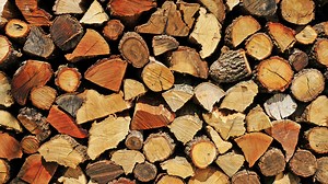 Types of Hardwood and Softwood