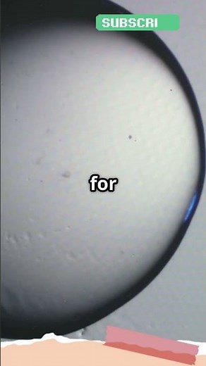 What Is Cryogenics? ❄️ Unlocking the Science of Extreme Cold! #science