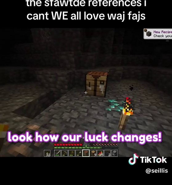 Exploring the Minecraft World: The Search for the Unseen