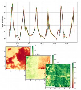 Satellites for Agriculture: Application of AI for Satellite Imagery in Farming
