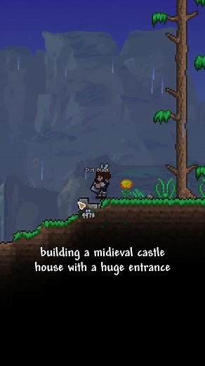 a big midieval castle house, and with a huge castle entrance! #midieval #castle #terraria #building